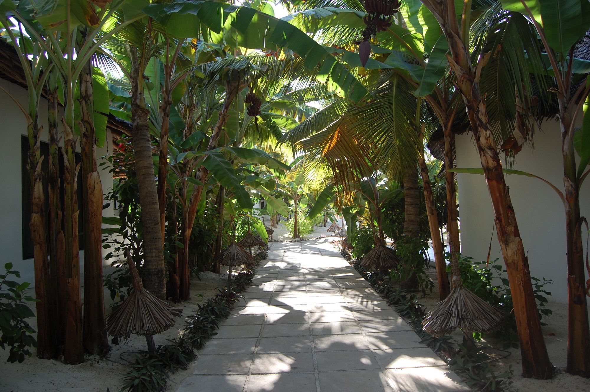 Blue Moon Resort Jambiani  Exterior photo
