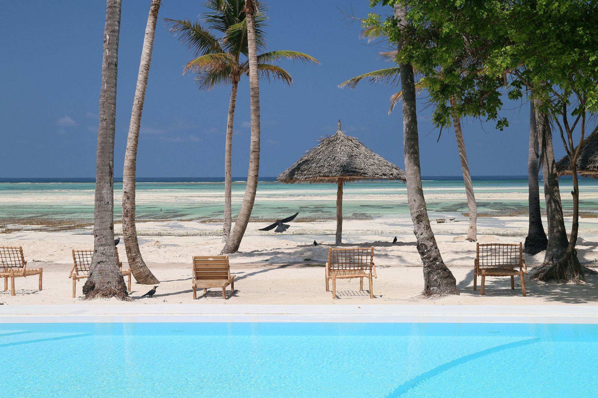 Blue Moon Resort Jambiani  Exterior photo