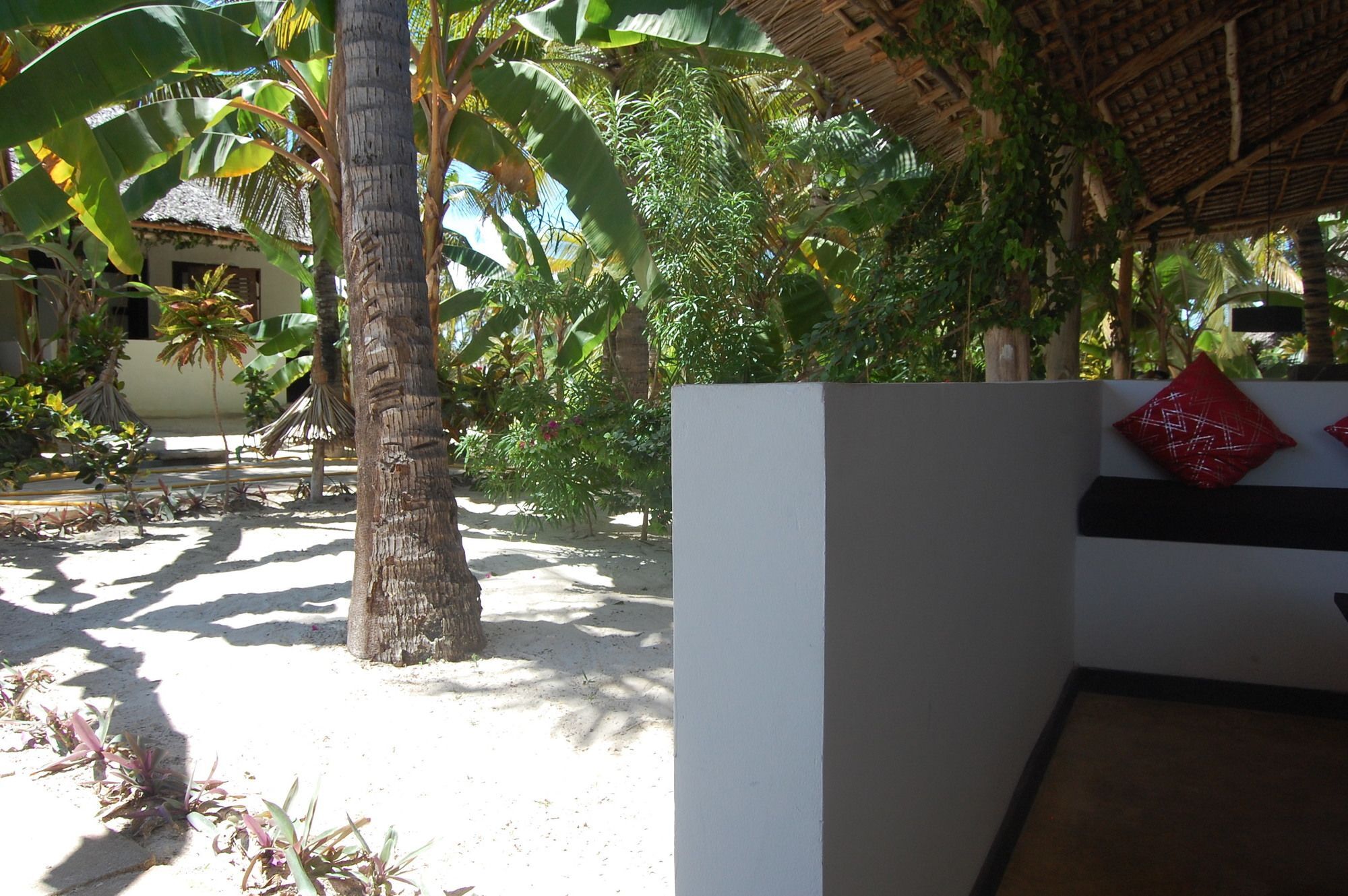 Blue Moon Resort Jambiani  Exterior photo