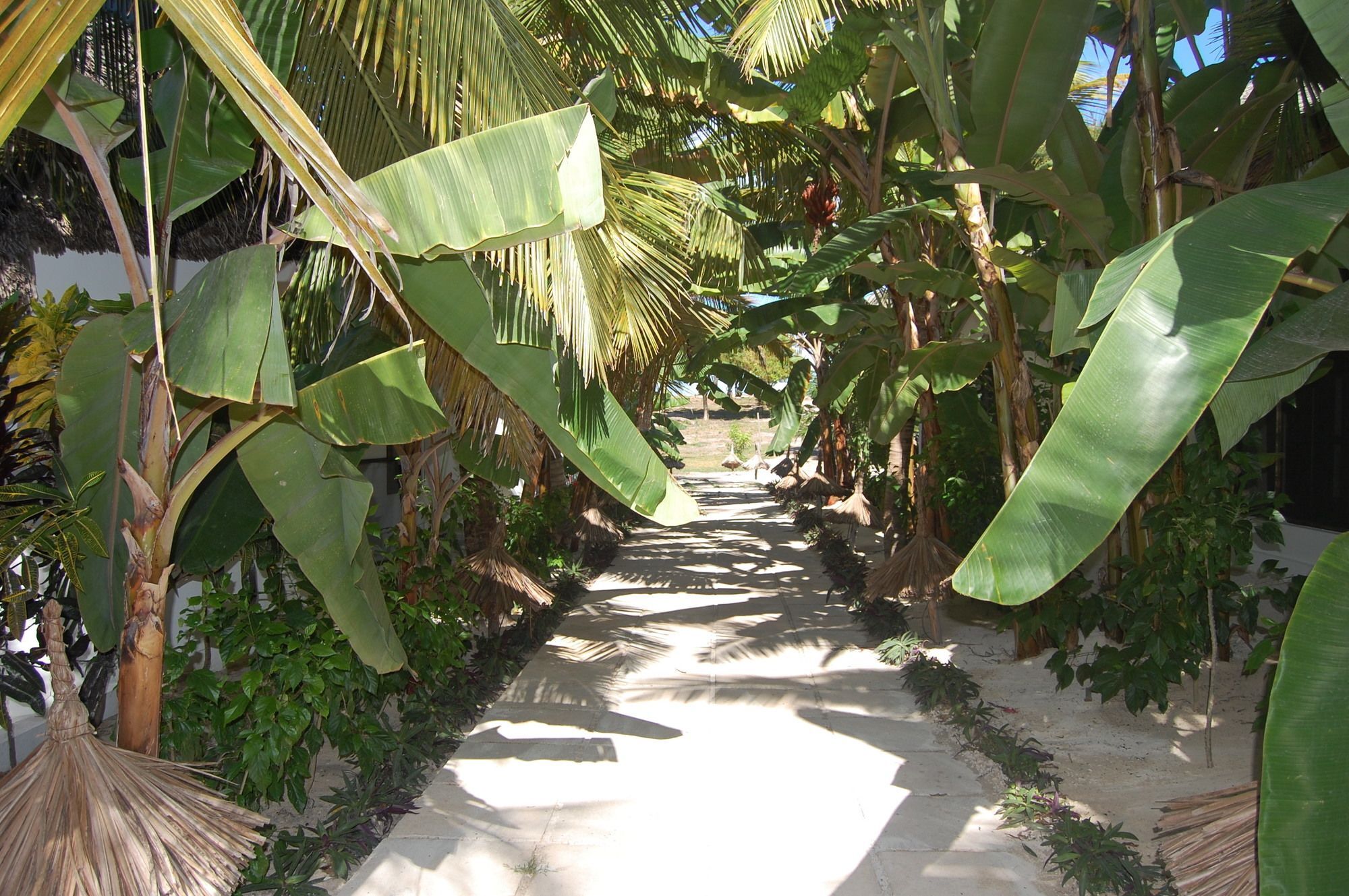 Blue Moon Resort Jambiani  Exterior photo